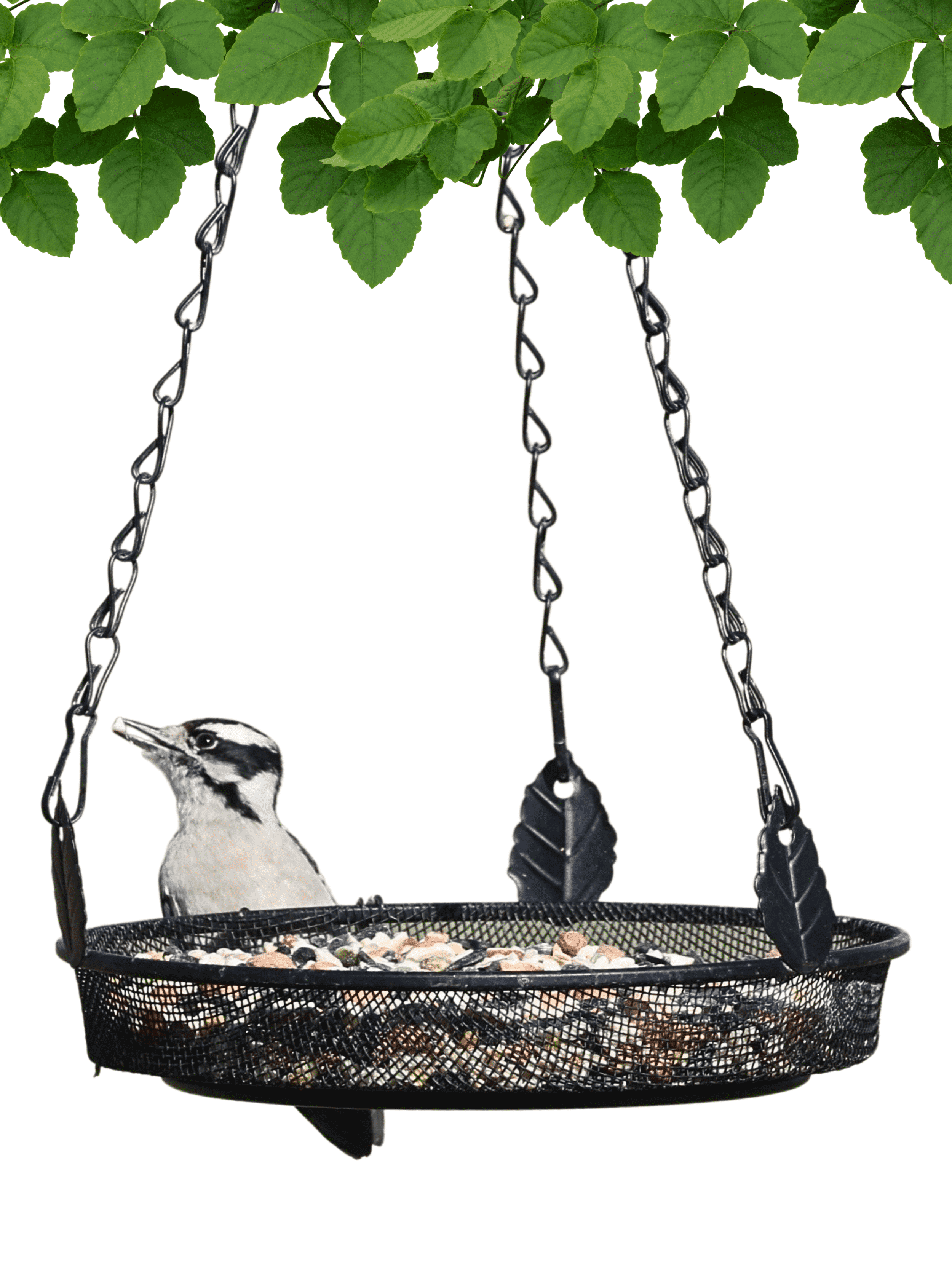 Backyard Essentials Hanging Tray Bird Feeder, Black Metal Mesh Birdfeeder, 5 Cup Capacity