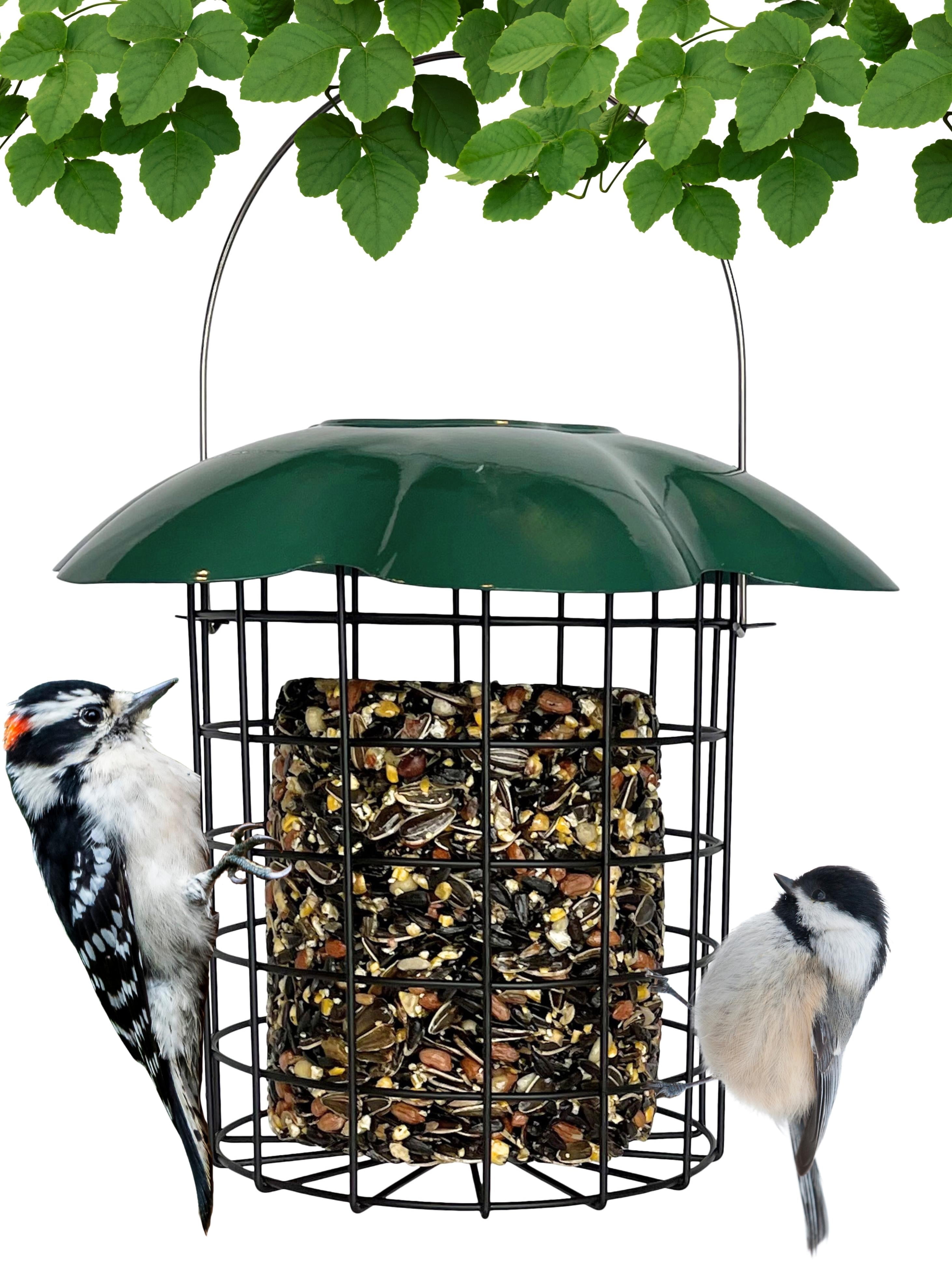 Backyard Essentials Large Seed or Suet Log Caged Feeder - Metal Suet Cage Cylinder Bird Feeder with Green Slide Down Protective Roof