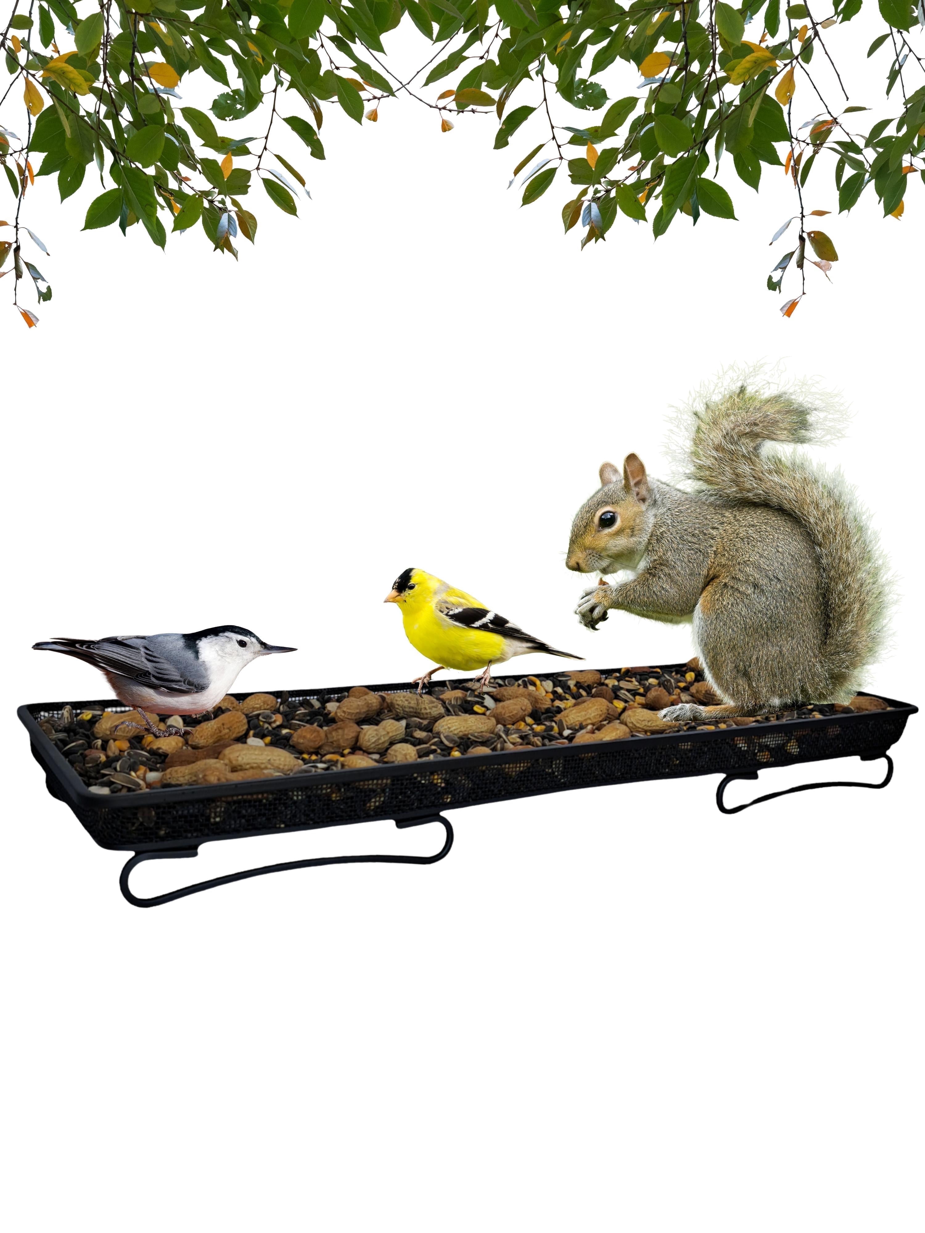 Backyard Essentials Mammoth Deck and Ground Feeder Tray - Metal Bird Feeder Tray for Cardinals, Finches Woodpeckers, Jays and Squirrels