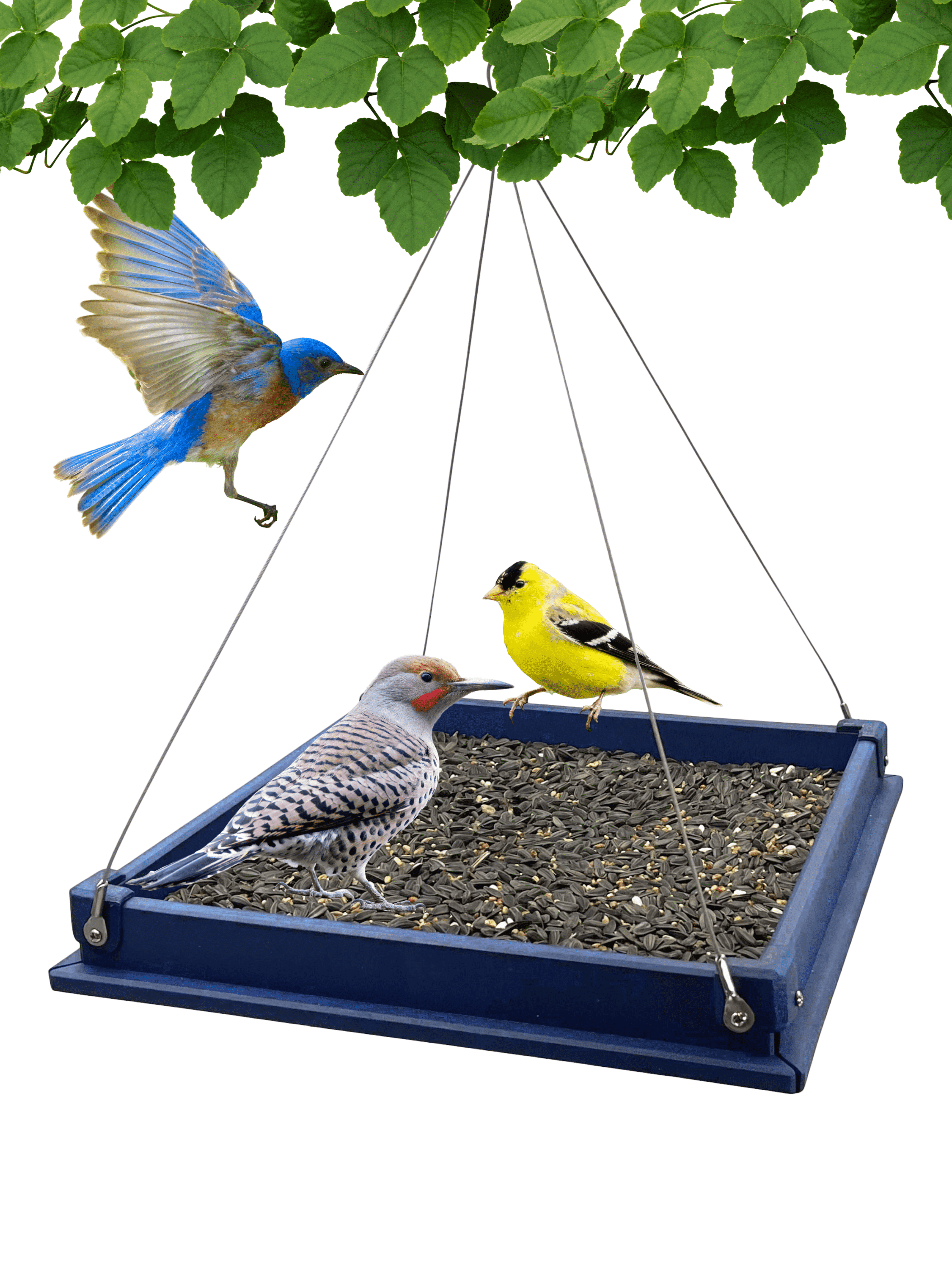 Backyard Essentials Platform Bird Feeder Large Hanging Metal Mesh Feeder, 10 Cup Capacity Blue