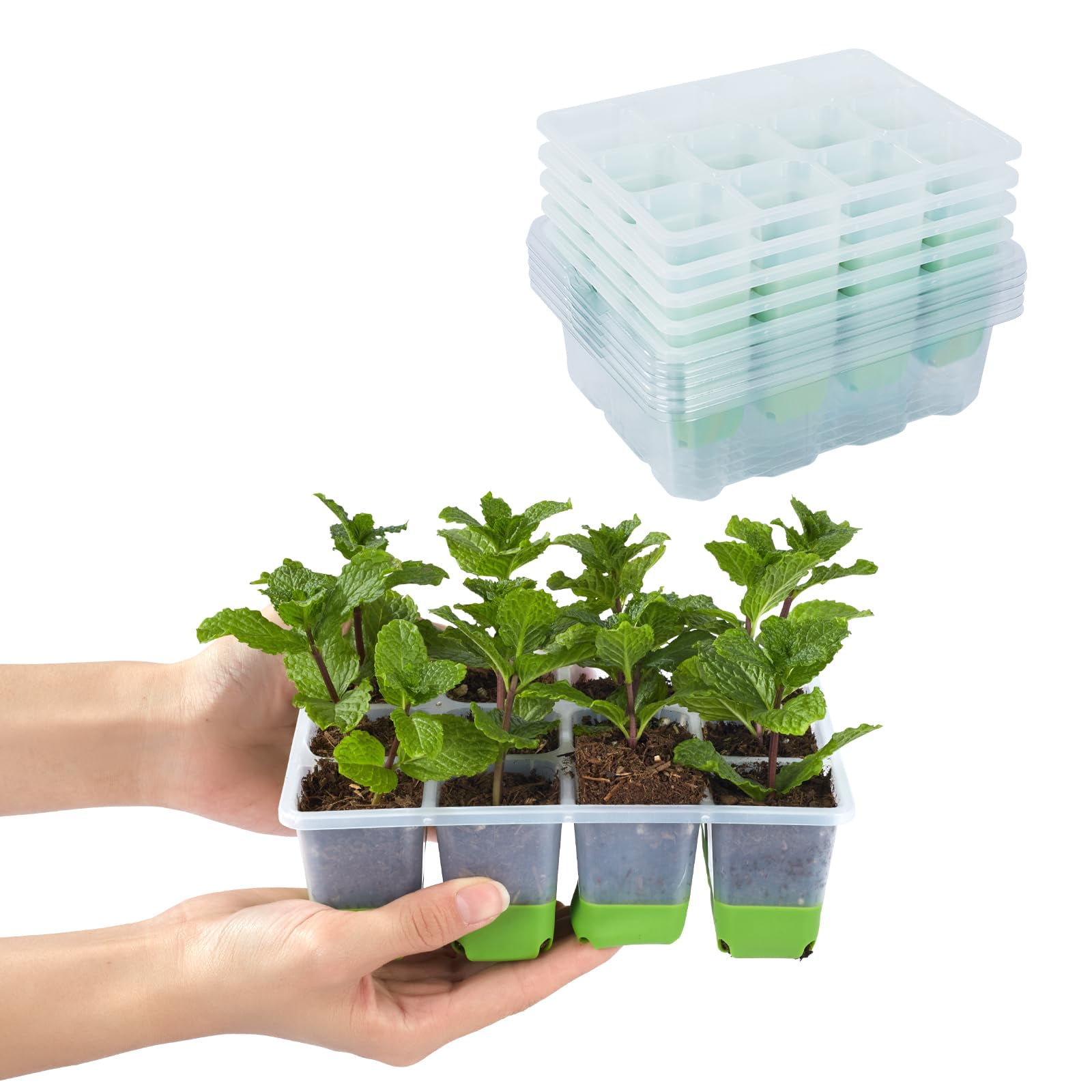 Backyard Expressions 5-Pack Silicone Seed Starter MVR1 Kit - Reusable ...