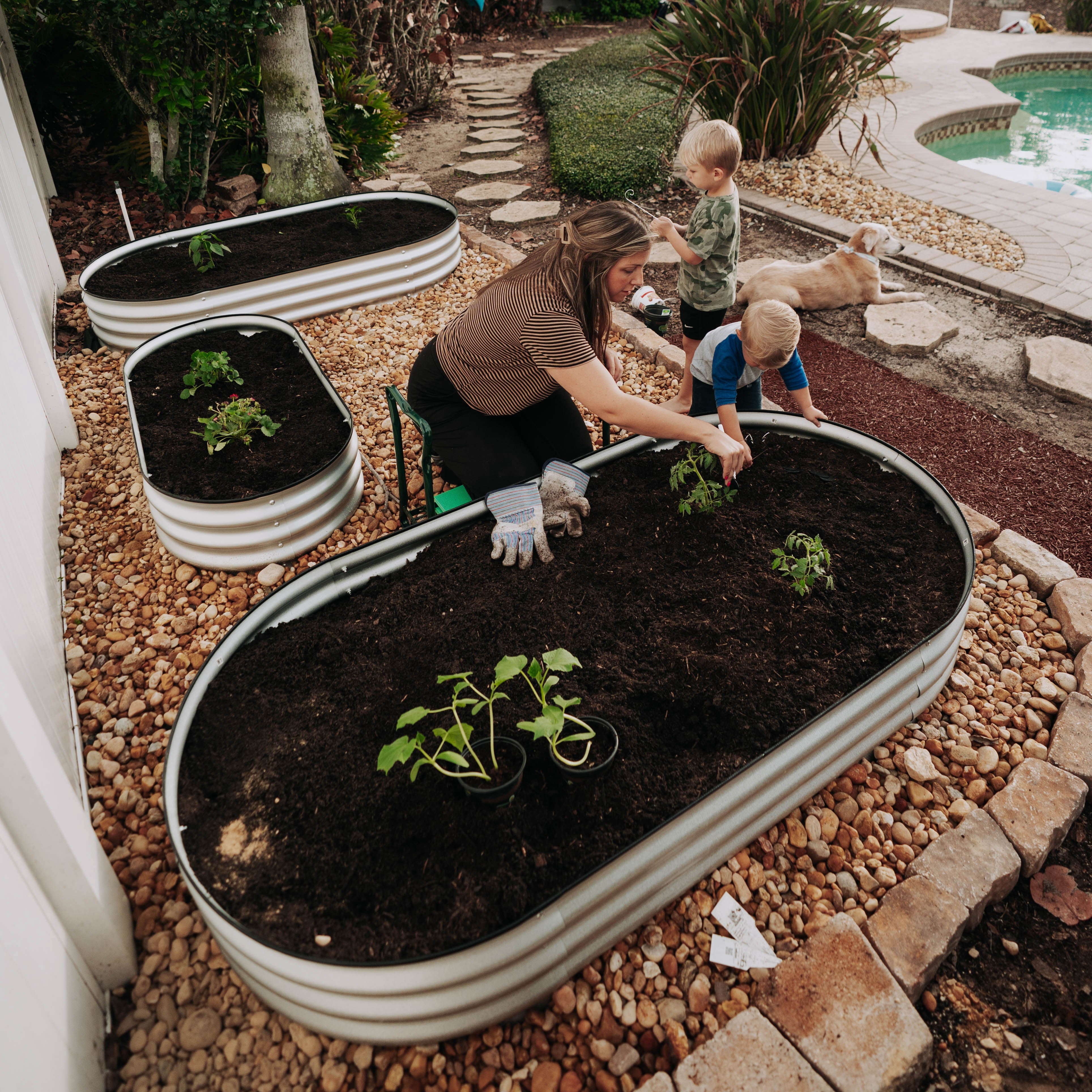 Backyard Expressions Home Galvanized Raised Garden Bed Kit 6x3x1ft, Planter Box Raised Garden Beds Outdoor, Easy Assembly Metal Raised Bed for Gardening Vegetables, Fruits, Flowers - Silver