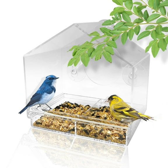 Backyard Expressions Window Bird House Feeder and 4 Extra Strong Suction Cups
