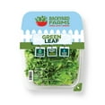 thumbnail image 1 of Backyard Farms Green Leaf Pre-Washed Lettuce, 4 oz Resealable Package, Fresh, 1 of 4