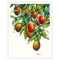 thumbnail image 1 of Backyard Mangoes - Hawaiian Mangos and Geckos (Kapili) - From an Original Hawaii Watercolor Painting by Peggy Chun - Fine Art Matte Paper Print (Unframed) 11x14in, 1 of 4