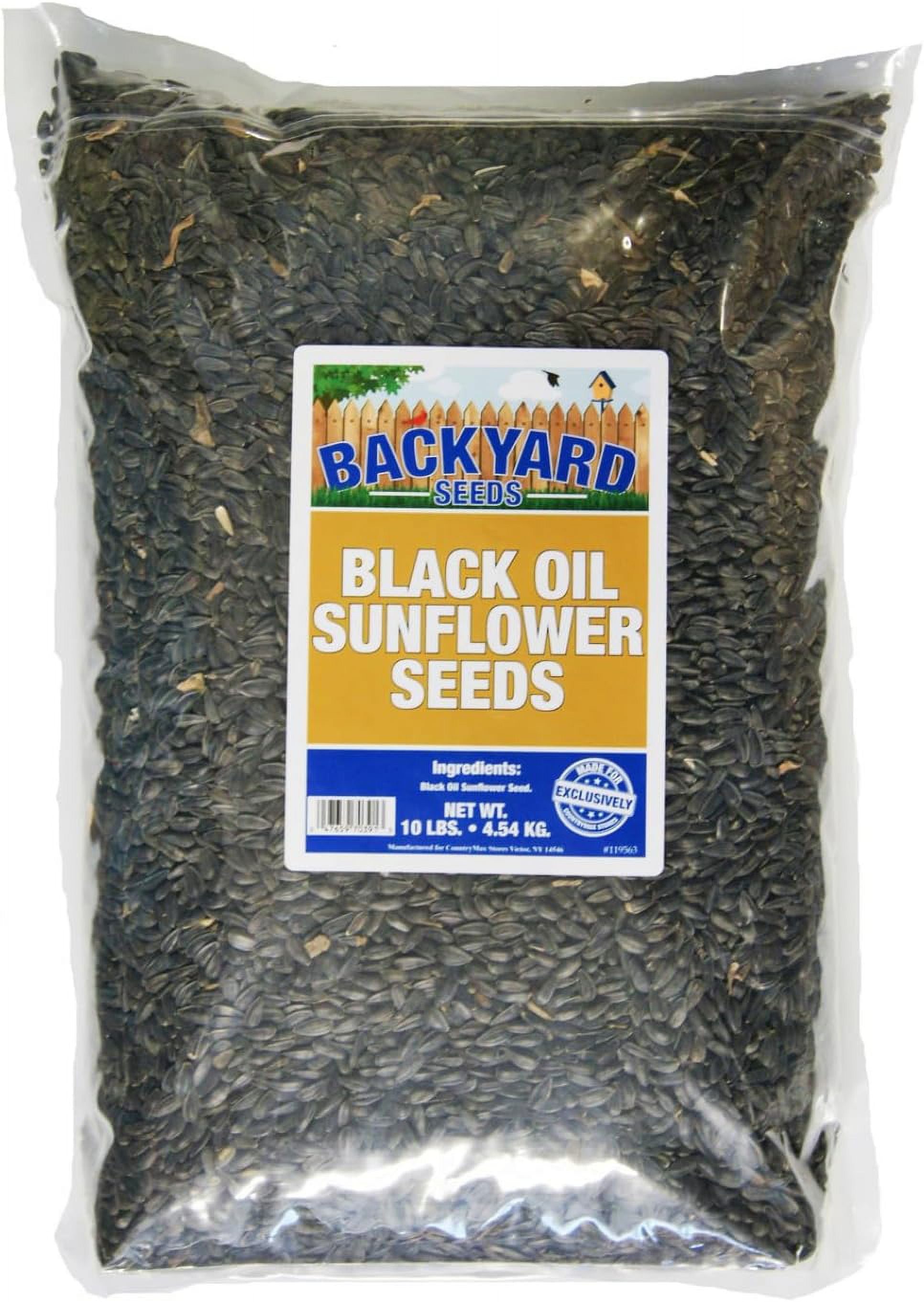 Backyard Seeds Bulk Food Black Oil Sunflower Seeds, 10 Pounds - Walmart.com