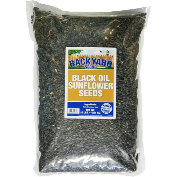 Backyard Seeds Black Oil Sunflower Flower Seeds, Attracting Birds