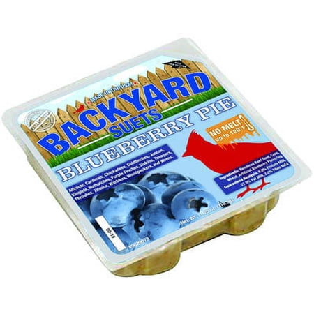 Backyard Seeds Blueberry Pie Suet Cake 12 Pack