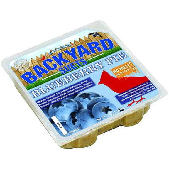 Backyard Seeds Blueberry Pie Suet Cake 12 Pack