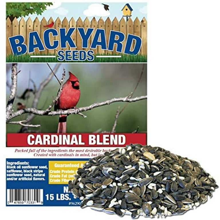 Backyard Cardinal in Black Backyard Cardinal in Black