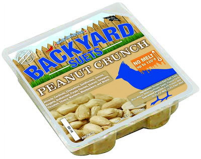 Backyard Seeds Peanut Crunch Suet Cake 12 Pack