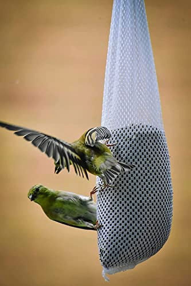 Backyard Seeds Thistle Bird Seed for Finches 50 Pounds