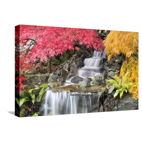 Backyard Waterfall with Japanese Maple Trees, Stretched Canvas Wall Art by jpldesigns Sold by Art.Com
