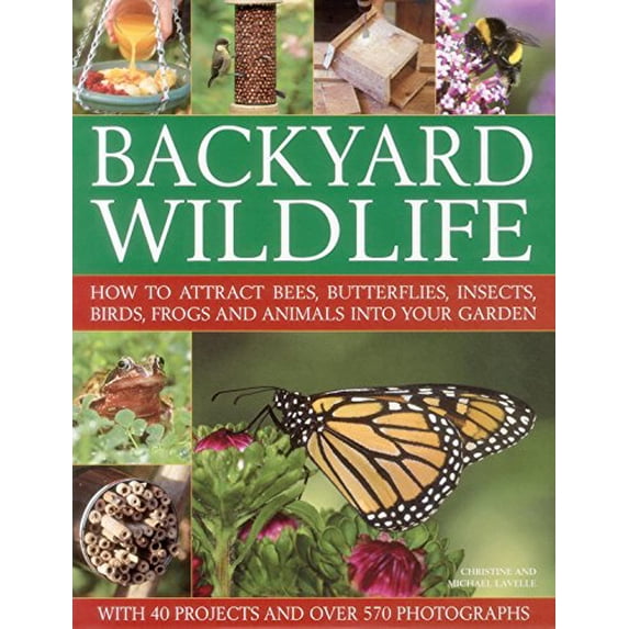 Pre-Owned Backyard Wildlife: How to Attract Bees, Butterflies, Insects, Birds, Frogs and Animals Into Your Garden (Hardcover) 0857230034 9780857230034