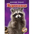 thumbnail image 1 of Pre-Owned Raccoons (Library Binding) 1600144446 9781600144448, 1 of 1