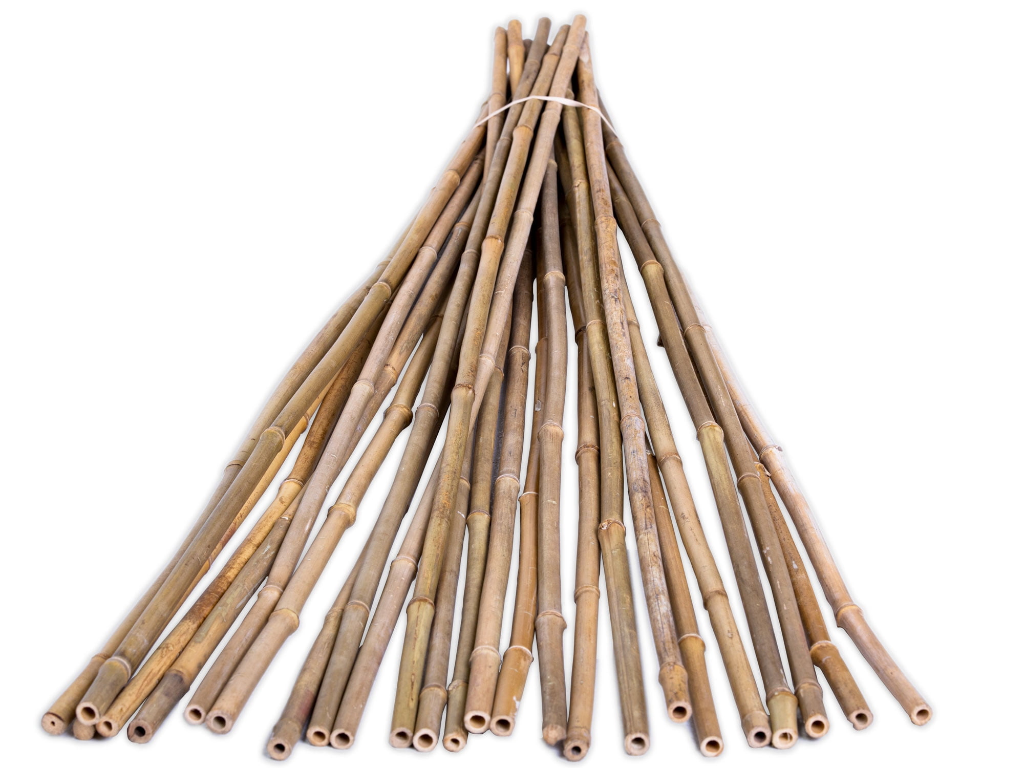Backyard XScapes 48" Plant Support Bamboo Garden Stakes Natural (25