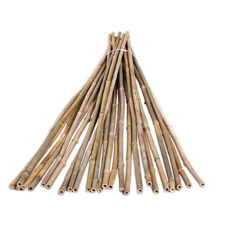Backyard X-Scapes 48" Plant Support Bamboo Garden Stakes Natural (25 Pieces)