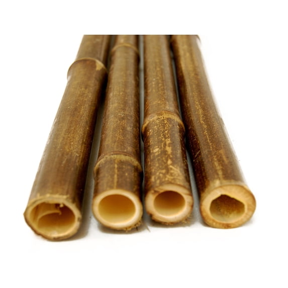 Backyard X-Scapes Black Bamboo Poles 1 in D x 90 in L (25-Pack)