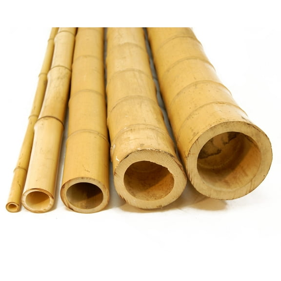 Backyard X-Scapes Natural Bamboo Poles 1" D x 72" L (25-Pack)