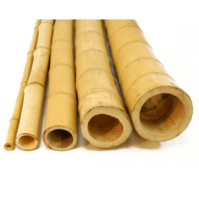 5.5 Feet Long Natural Thin Bamboo Poles Pack of 20!