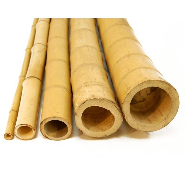 Thick Natural Bamboo Poles About 6 Feet Tall 1.5 Inch Diameter