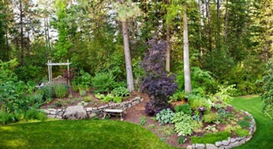 Backyard garden in Loon Lake Spokane Washington State USA Canvas Art - Panoramic Images (36 x 20)