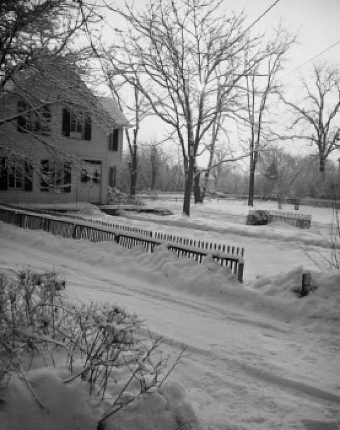 Backyard in winter Canvas Art - (24 x 36)