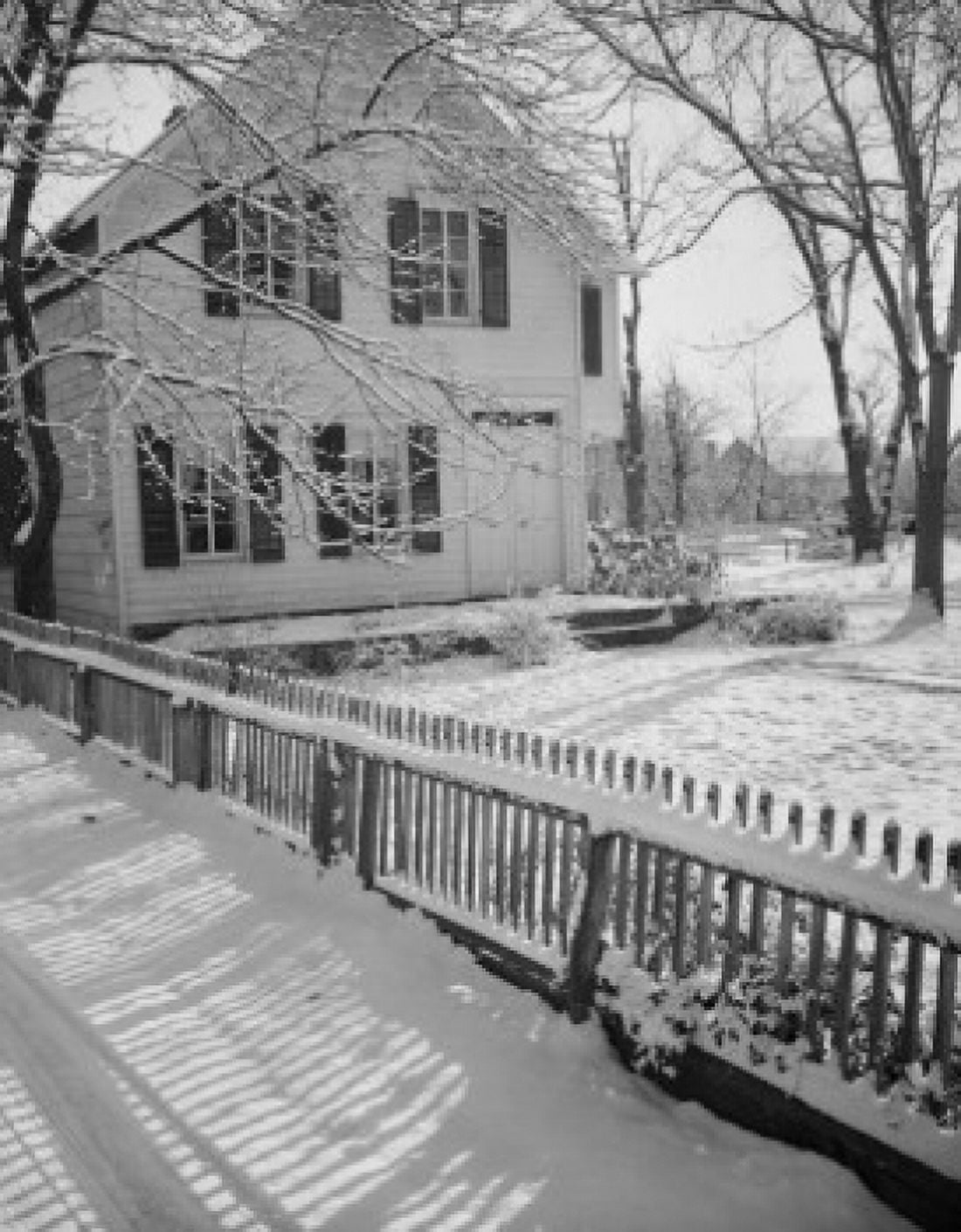 Backyard in winter Canvas Art - (24 x 36)