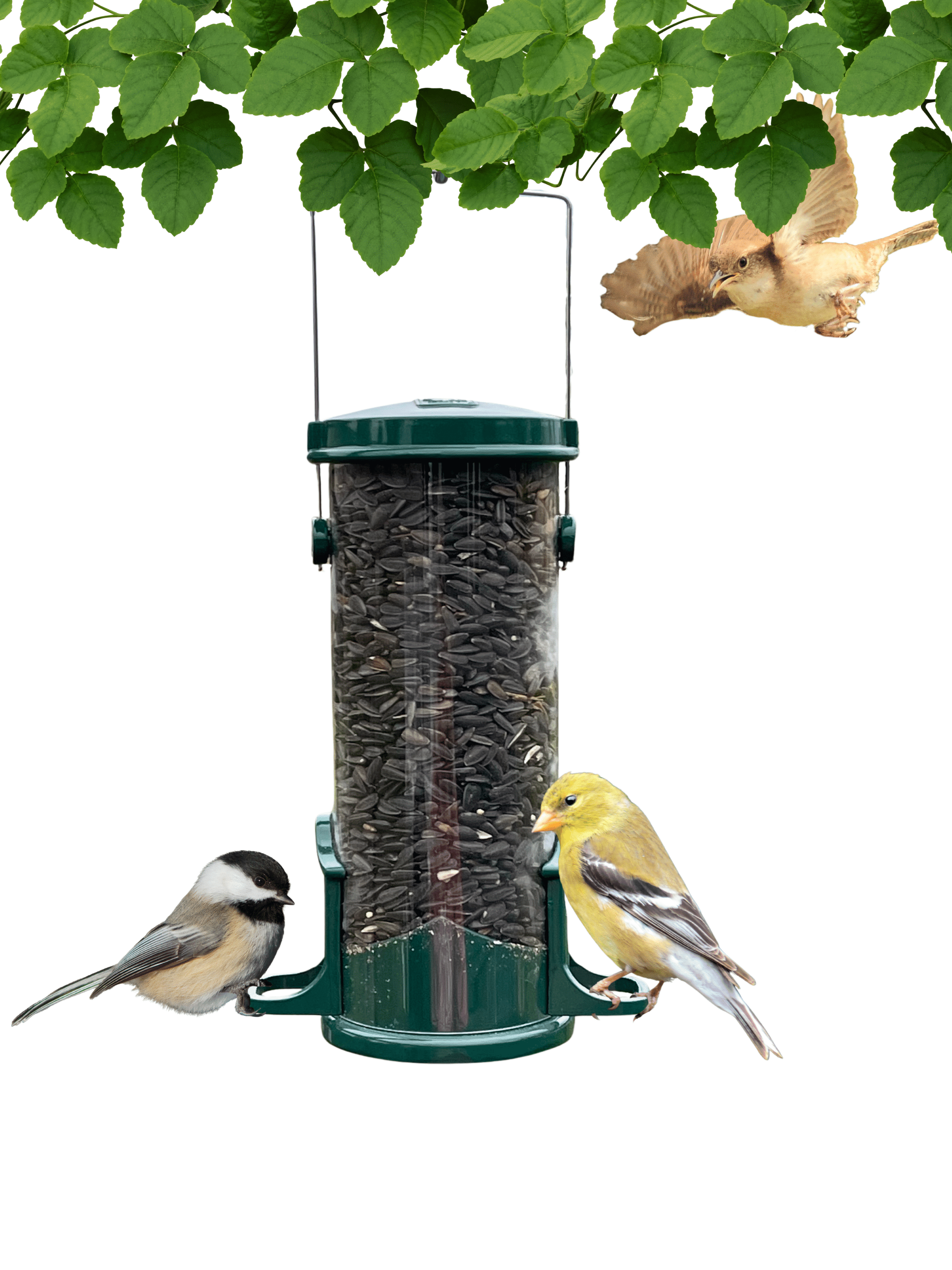 Backyards Essentials Tube Bird Feeder Petite Green Metal Finch Feeder, 4 Cup Capacity