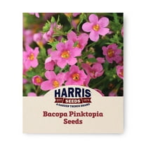 Harris Seed - Bacopa Pinktopia® Seeds - Bright Pink Blooms - 10 Seeds