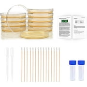 Bacteria Science Kit Petri Dishes with Agar and Swabs | Top Science Fair Project Bacteria Growing Kit | Prepoured LB-Agar Plates and Cotton Swabs | STEM for Kids Aged 6 7 8 9 10 Girls Boys Gifts