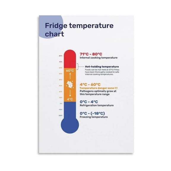 Bacterial Growth Danger Zone Chart Poster Canvas Painting Food Safety Fridge Temperature Guide Kitchen Wall Art for Restaurant Home Chef Decor