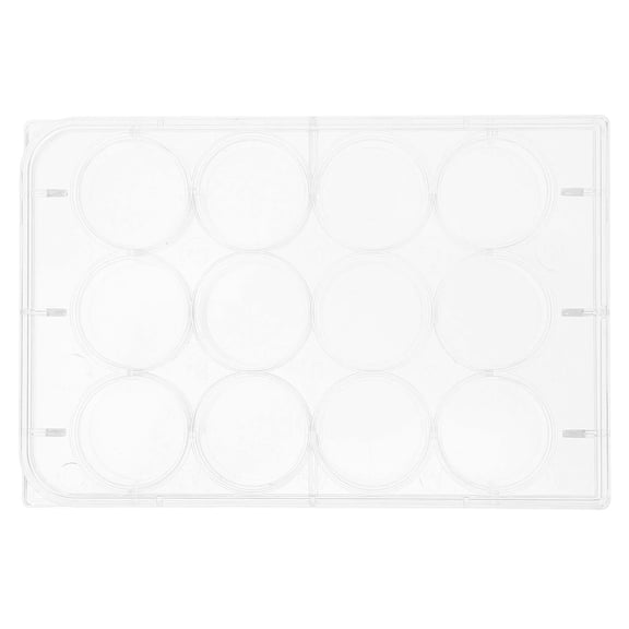 Raindrops Transparent Plastic Culture Plate for Lab Use 12hole Reaction Plate for Cell and Tissue Experiments