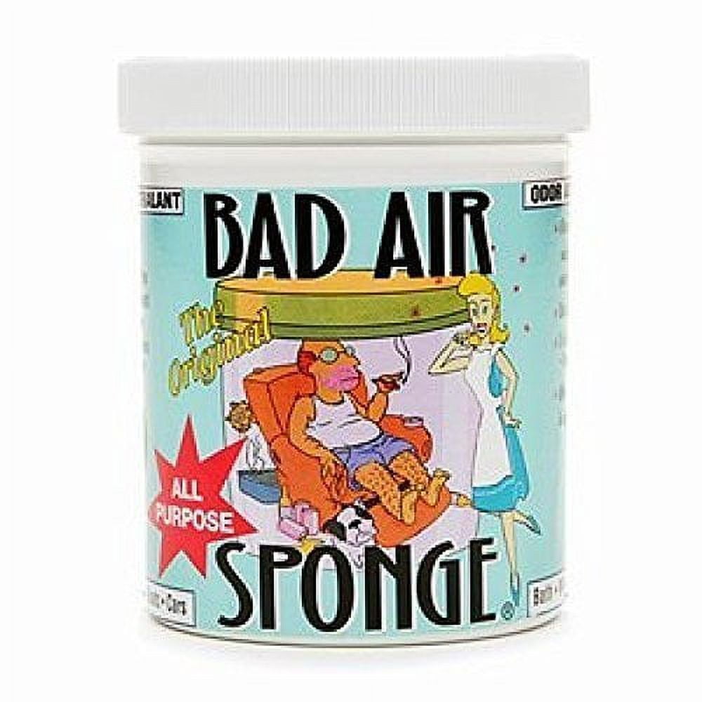 Bad Air Sponge Odor Absorbent (14 ounce , 2 Pack) – Pest Control Everything
