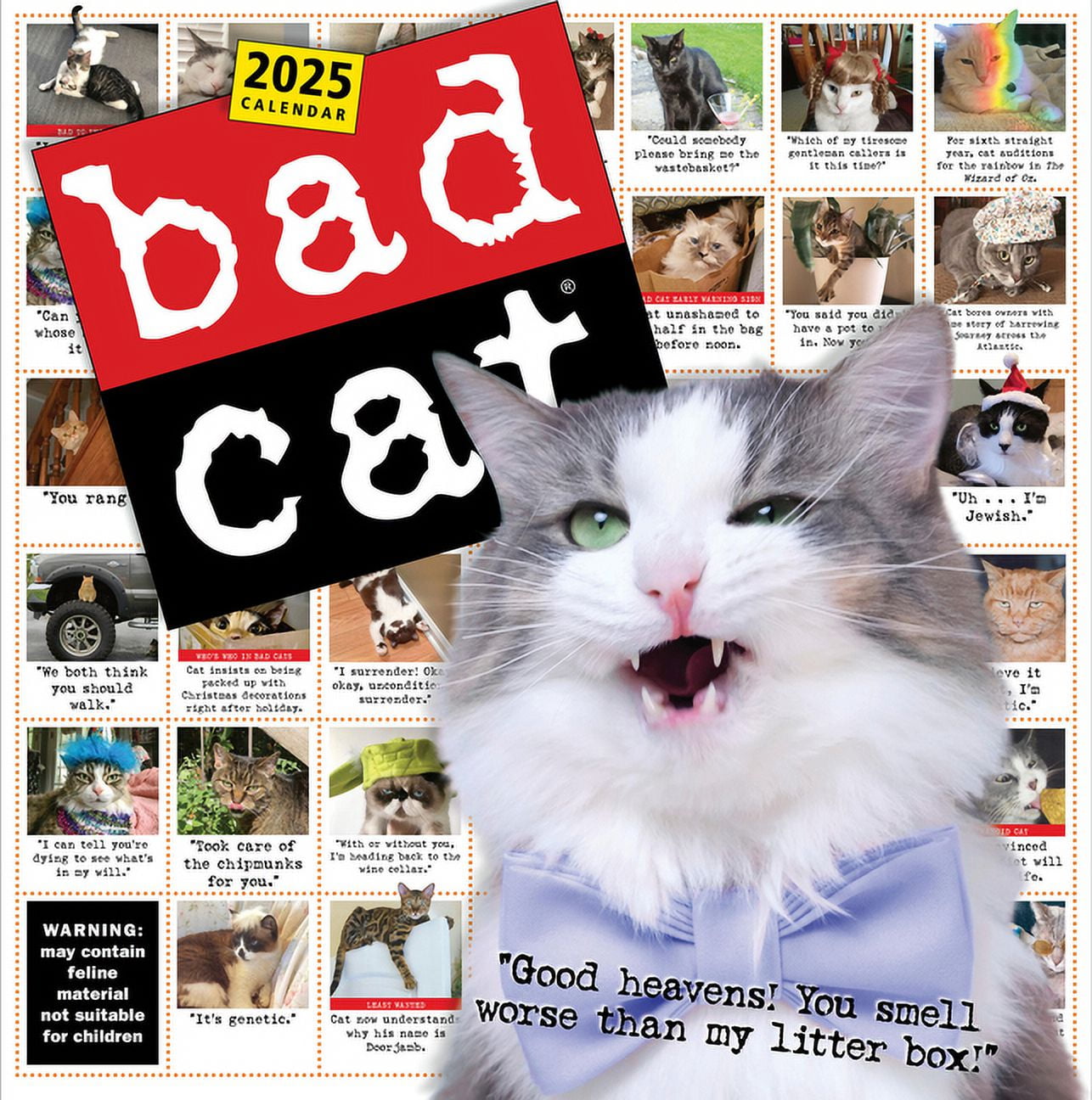 Bad Cat Wall Calendar 2025: Celebrating the Misfits of the Feline World, (Paperback)