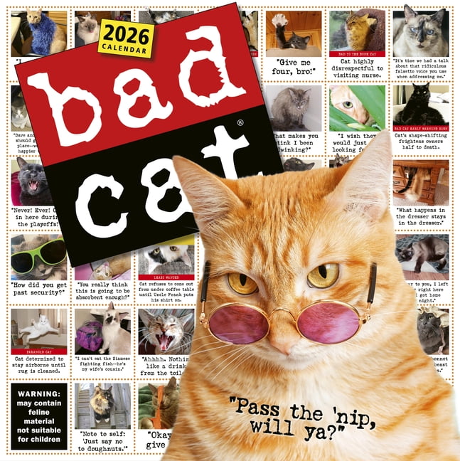 Bad Cat Wall Calendar 2026: Celebrating the Misfits of the Feline World, (Paperback)