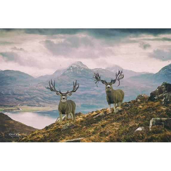Bad Company Mule Deer Print by Robert King, Mule Deer Trophy Bucks, Giant Bucks, Buck Print, Deer Poster, Racks, Cabin Woodland
