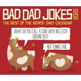thumbnail image 1 of Bad Dad Jokes 2020 Box Calendar (Other), 1 of 1