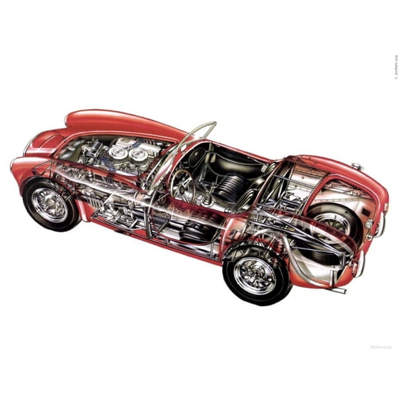 Bad Dog Posters Ac Cobra Cutaway Poster 24inx36in 24x36 poster Color Category: Multi, Unframed, Ages: Adults