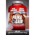 thumbnail image 1 of Bad Dog Posters Pain And Gain 11inx17in Mini Movie Poster 11x17 poster, 1 of 1