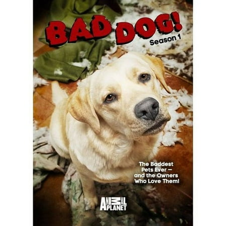 Bad Dog! Season One (Widescreen)