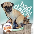 thumbnail image 1 of Bad Dogs, 1 of 2