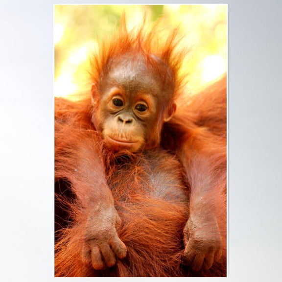 Bad Hair Day! Poster Wall Art, Modern Wall Decor For Living Room Bedroom, 8x12 UNFRAMED