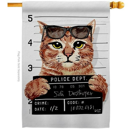 Bad Kitty Animals Cat 28 x 40 in. Double-Sided Decorative Vertical House Flags for Decoration Banner Garden Yard Gift