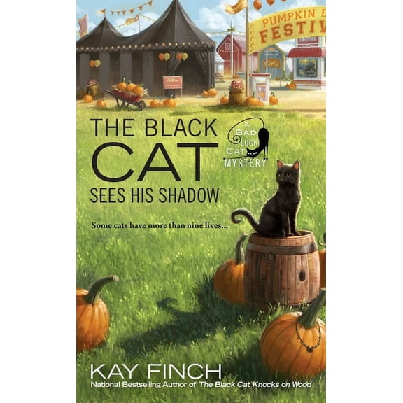 Bad Luck Cat Mystery The Black Cat Sees His Shadow, Book 3, (Paperback)
