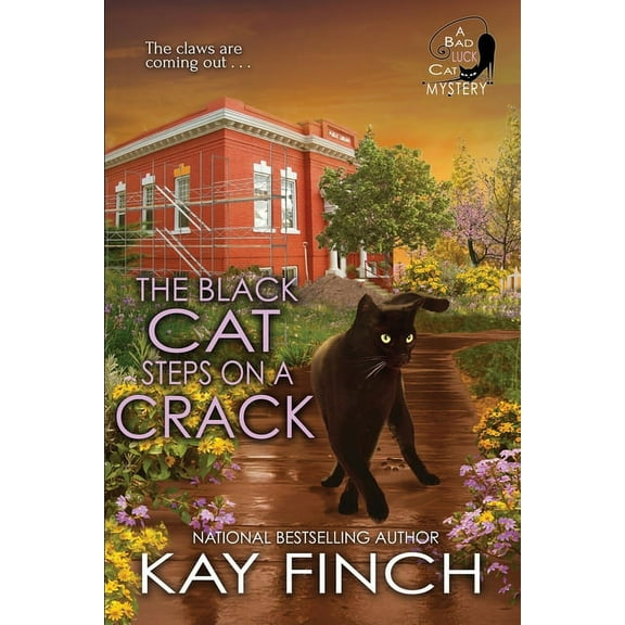 Bad Luck Cat Mystery The Black Cat Steps on a Crack, Book 4, (Paperback)