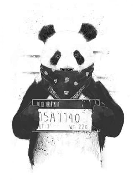 Bad Panda Canvas Art - Balazs Solti (20 x 28)