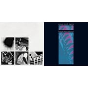 Pretty Hate Machine & Bad Witch LP