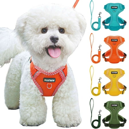 BadPiggies Cat Dog Mesh Harness and Leash Set Reflective Pet Vest Walking Fits Cat Small Dog Puppy (L, Blue)