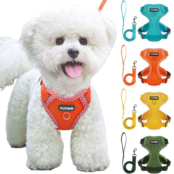 BadPiggies Cat Dog Mesh Harness and Leash Set Reflective Pet Vest Walking Fits Cat Small Dog Puppy (L, Blue)